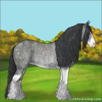 Horse Color:Classic Champagne Chinchilla Ice Sabino