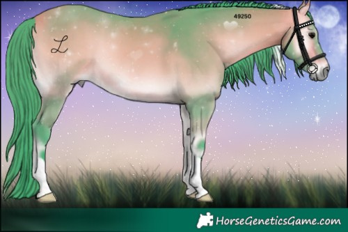 Horse Color:Watercolor Buckskin Onyx 