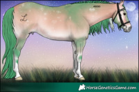 Horse Color:Watercolor Buckskin Onyx 