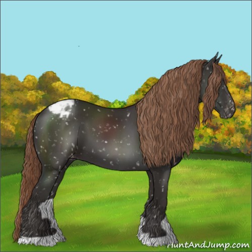 Horse Color:Liver Chestnut Appaloosa 