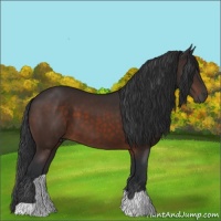 Horse Color:Brown 