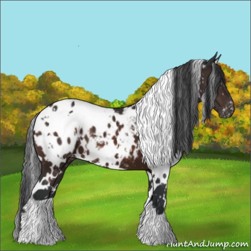 Horse Color:White Spotted Brown Blanket