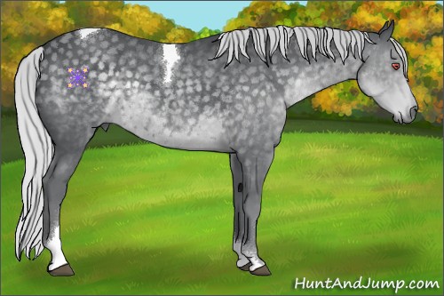 Horse Color:Silver Black Chinchilla Tobiano 