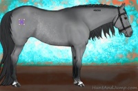 Horse Color:Blue Chinchilla Roan Rabicano
