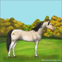 Horse Color:Bay Ice Dun Tobiano 
