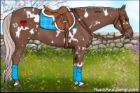 Horse Color:White Spotted Chocolate Silver Black