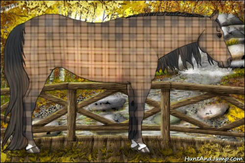 Horse Color:Plaid Bay