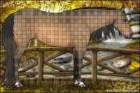 Horse Color:Plaid Bay