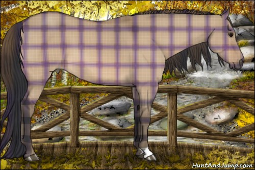 Horse Color:Plaid  Bay Dun 