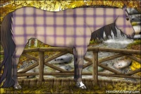 Horse Color:Plaid  Bay Dun 