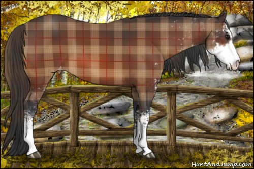 Horse Color:Plaid Brown Sabino Varnish