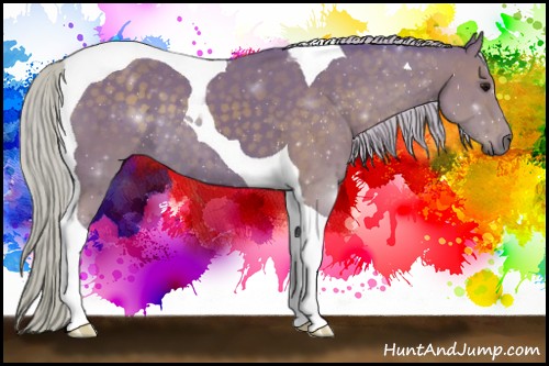 Horse Color:Watercolor Silver Black Tobiano 