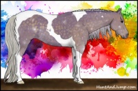 Horse Color:Watercolor Silver Black Tobiano