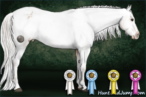 Horse Color:Silver Brown Roan Dun Appaloosa  and Silver Brown Roan Dun Appaloosa 