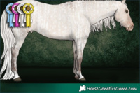 Horse Color:Silver Brown Roan Dun Appaloosa and Silver Brown Roan Dun Appaloosa