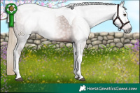 Horse Color:Gray Chestnut Tobiano Rabicano