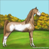 Horse Color:Chestnut Frame