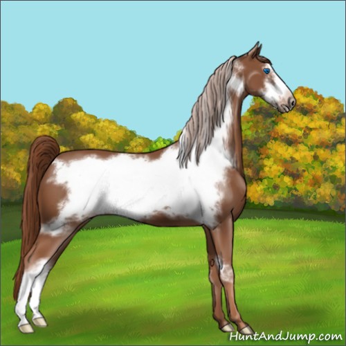 Horse Color:Chestnut Frame