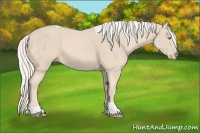Horse Color:Cremello Tobiano