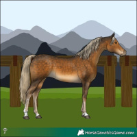 Horse Color:Chocolate Palomino Mushroom 