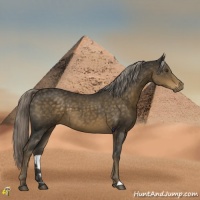 Horse Color:Chocolate Palomino Mushroom