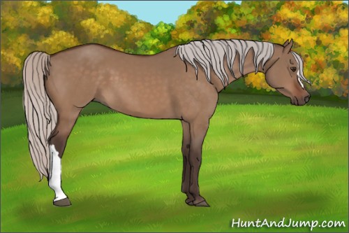 Horse Color:Silver Brown Dun