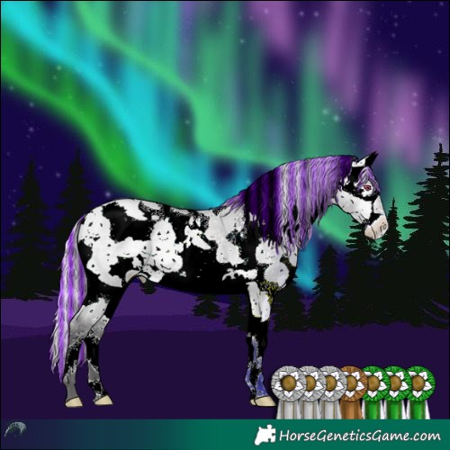 Horse Color:Painted White Spotted Silver Buckskin Chinchilla Dun Splash Tobiano 