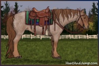 Horse Color:Red Roan Rabicano 