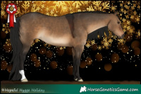 Horse Color:Gray Bay Dun 