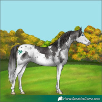 Horse Color:Platinum Smoky Black Splash Tobiano 