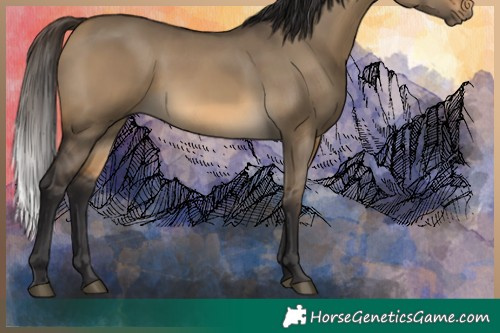 Horse Color:Buckskin Dun Rabicano