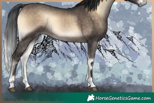 Horse Color:Brown Onyx Rabicano