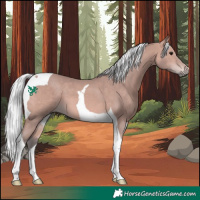 Horse Color:Platinum Silver Bay Tobiano