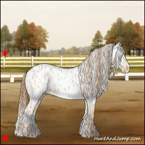 Horse Color:Red Dun Near Leopard  and Red Dun Near Fewspot 