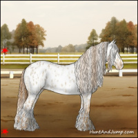 Horse Color:Red Dun Near Leopard  and Red Dun Near Fewspot 