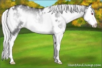 Horse Color:White Spotted Silver Smoky Blue Onyx Chinchilla Splash 