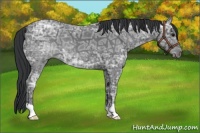 Horse Color:Black Ice 