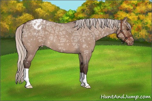 Horse Color:Silver Brown Ice Roan Dun Varnish 