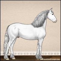 Horse Color:Red Dun Mushroom Splash Appaloosa
