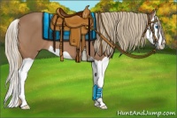 Horse Color:Chestnut Mushroom Splash 