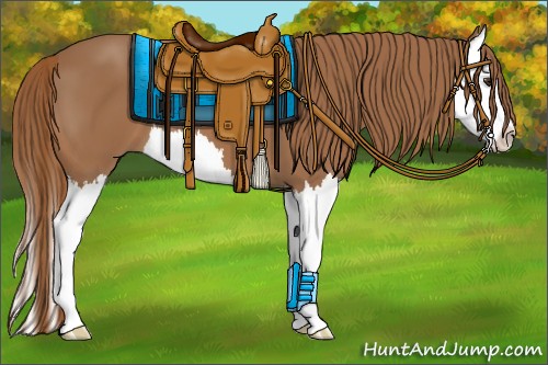 Horse Color:Chestnut Splash 