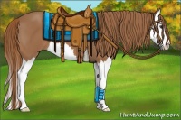 Horse Color:Chestnut Splash 