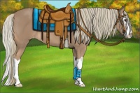 Horse Color:Chestnut Mushroom Splash Appaloosa 