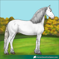 Horse Color:Chestnut Mushroom Varnish 
