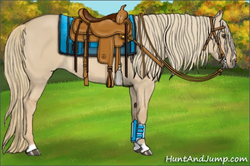 Horse Color:Red Dun Mushroom 