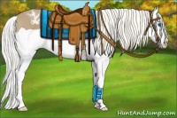 Horse Color:Chestnut Mushroom Splash Appaloosa 