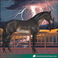 Horse Color:Brown 