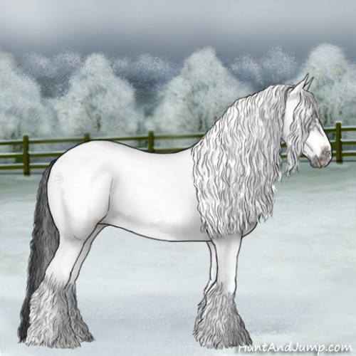 Horse Color:White Spotted Black Frame 
