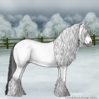 Horse Color:White Spotted Black Frame