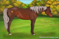 Horse Color:Chocolate Silver Brown 